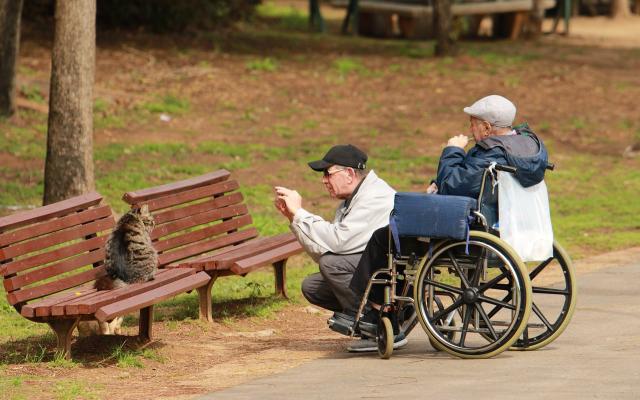 Руководство по выбору инвалидной коляски для пожилых людей