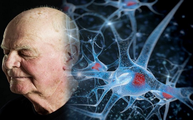 Как улучшить память и работу мозга в пожилом возрасте